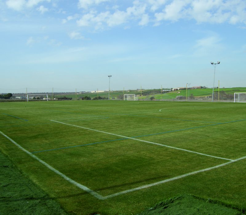 campo de futbol natural
